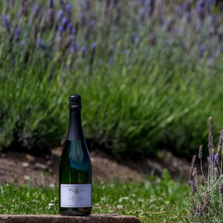 Mudbrick Méthode Traditionelle NV, Marlborough